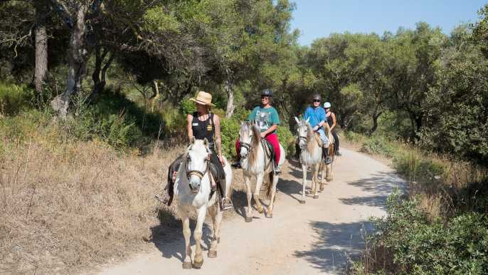 Mallorca: Excursión a Caballo y Cata de Vinos