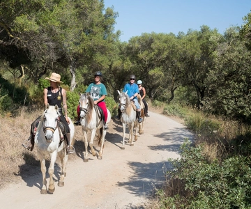 Mallorca: Horseback Riding Excursion and Wine Tasting