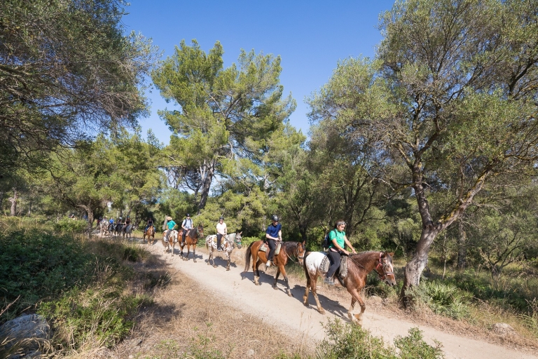 Mallorca: excursión a caballo y cata de vinos