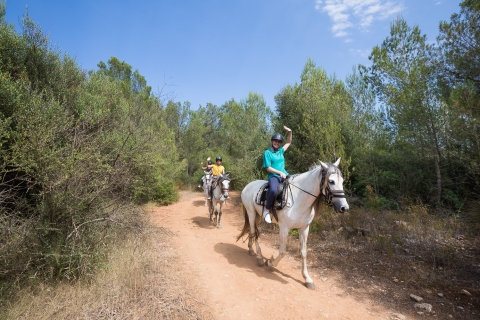 Mallorca: paardrijexcursie en wijnproeverij