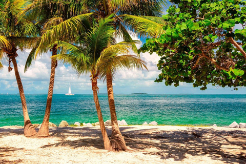 Ab Miami - Bezaubernde Key West Tour in einer kleinen Gruppe.