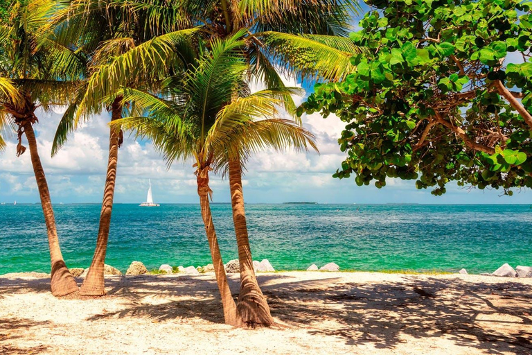 Desde Miami - Encantadora excursión a Cayo Hueso en grupo reducido.