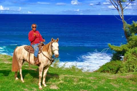 Maui: Mountain and Ocean 2-Hour Horseback Ride