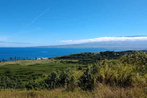 Maui: 1.5-Hour ATV Tour