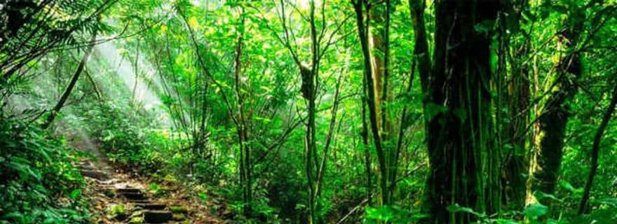 Réserve naturelle de Mombacho et aventure dans la canopée