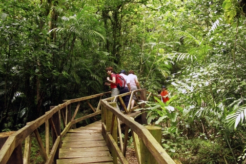 Natuurreservaat Mombacho en Canopy AdventureMombacho Hike & Canopy Course: een hele dag vanuit Granada