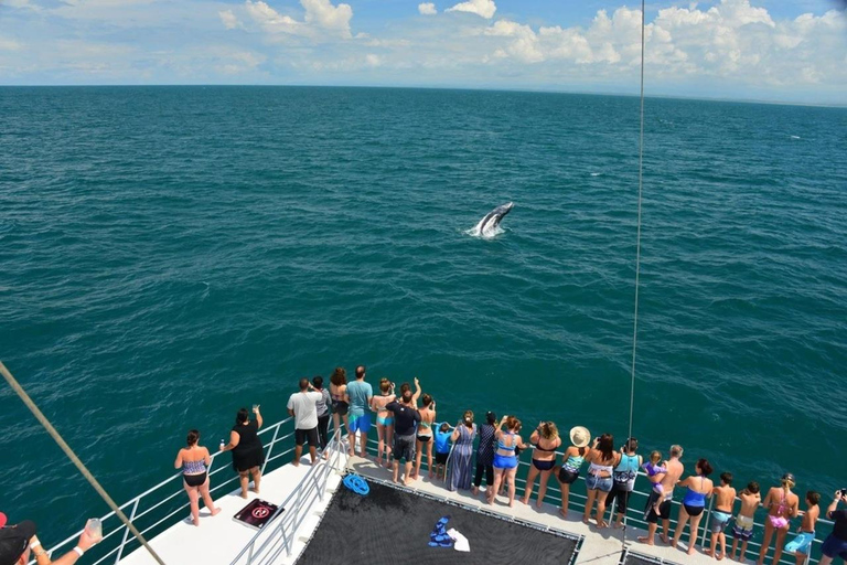 Catamaran Adventure in Manuel Antonio Catamaran from San Jose
