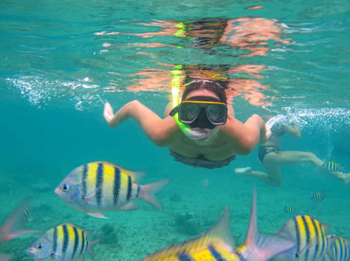 Cozumel Private Beach with Massage All Inclusive Beach Day GetYourGuide