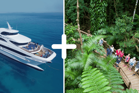 Cairns: 2-Day Great Barrier Reef & Daintree Rainforest Tour