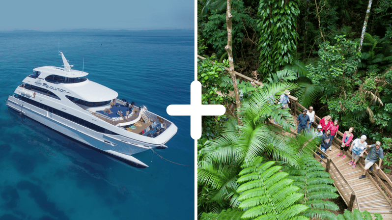 Cairns: 2-Day Great Barrier Reef & Daintree Rainforest Tour