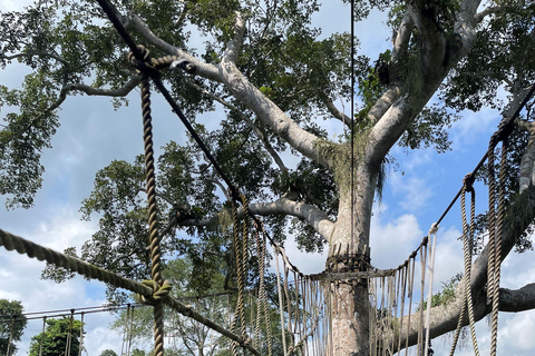 أكرا: جولة سياحية في غانا لمدة 7 أيام