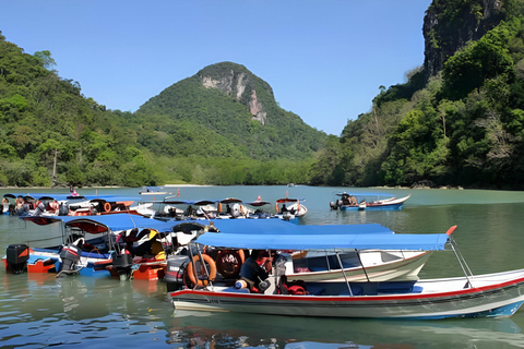 Langkawi: Mangroven-Touren mit Optionen