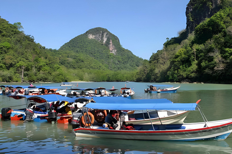 Langkawi: Mangroven-Touren mit Optionen