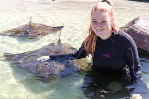 Nelson Bay: Shallow Waters Shark Encounter at Irukandji