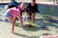 Anna Bay, Irukandji Entry and Shallow Water Shark Encounter - Housity