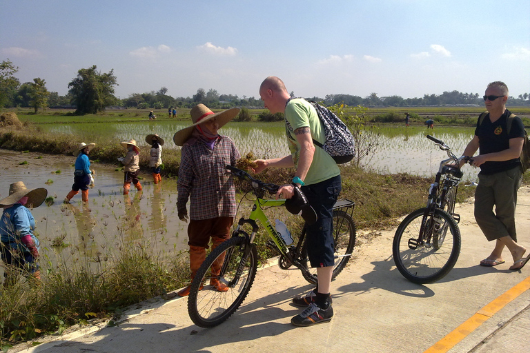 Tour en bicicleta de día completo por el paraíso de Chiang Mai