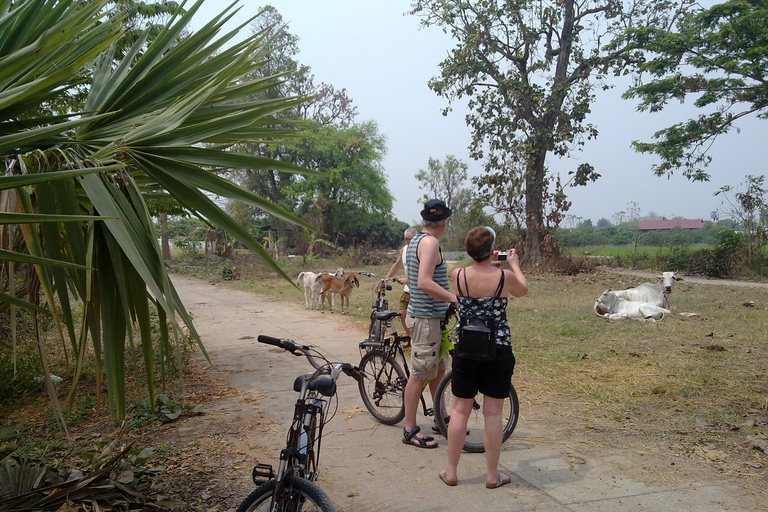 Tour en bicicleta de día completo por el paraíso de Chiang Mai