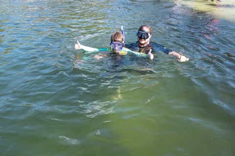 New South Wales: Snorkel with Sharks & Rays