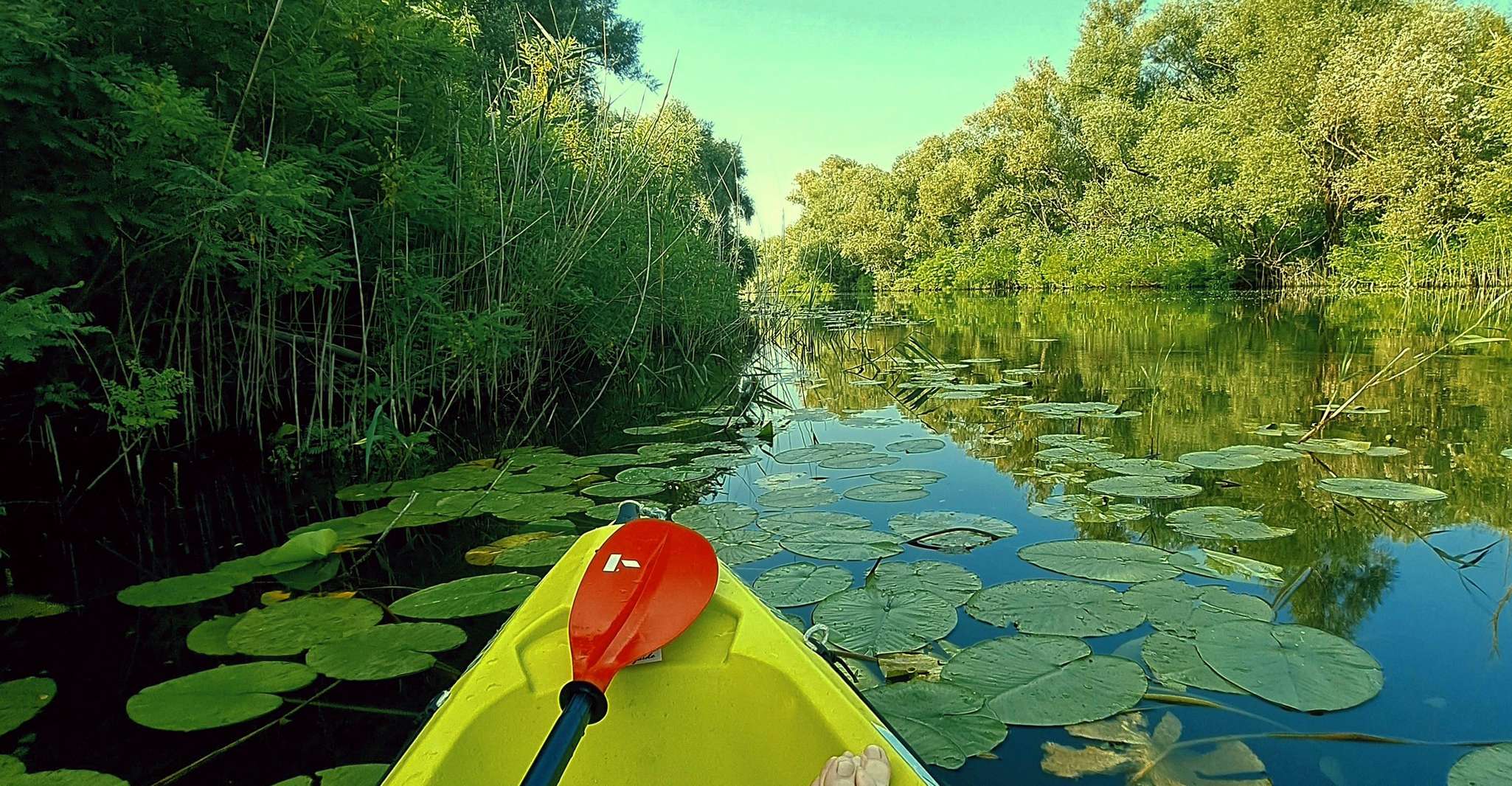 Kayak Adventure, Paddle your way through Lake Skadar - Housity