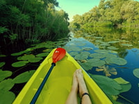 Kayak Adventure, Paddle your way through Lake Skadar - Housity
