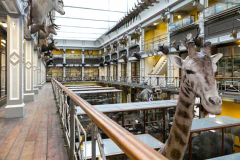 Dublin: The Dublin Pass with Entry to Over 35 Attractions