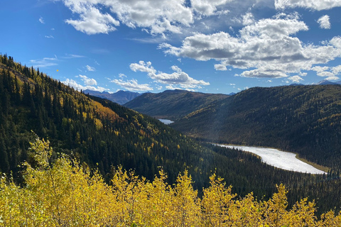 Denali: 5-Hour Guided Wilderness Hiking Tour Denali 4-Hour Hiking Tour