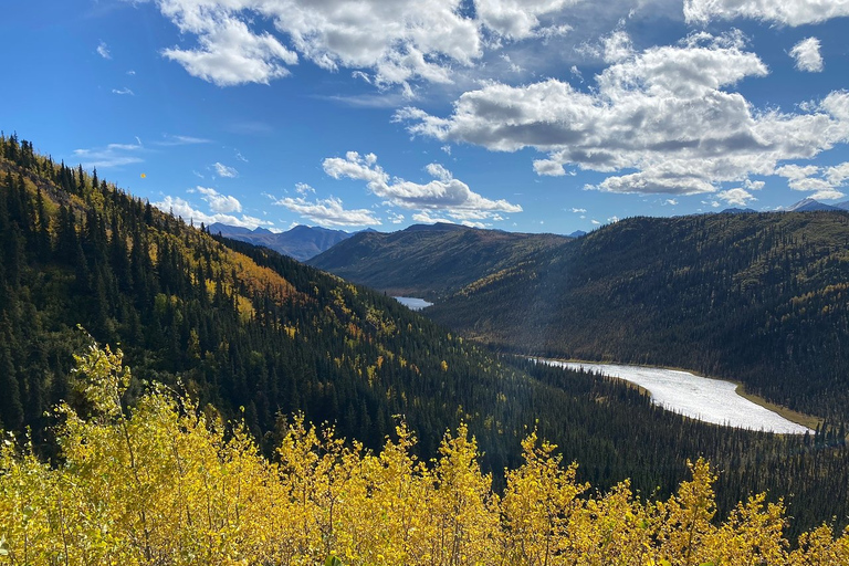 Denali: 5-Hour Guided Wilderness Hiking Tour Denali 4-Hour Hiking Tour