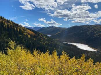 Denali: 5-stündige geführte Wildniswanderung Denali: 5-stündige geführte Wildniswanderung