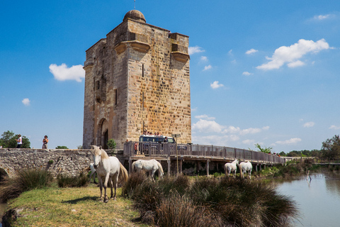 Camargue: Half-Day 4x4 Guided Safari Adventure