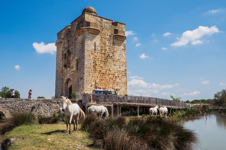 Camargue: Half-Day 4x4 Guided Safari Adventure Camargue: Half-Day 4x4 Guided Safari Adventure - Shared