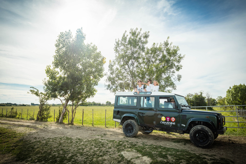 Camargue: Półdniowe safari 4x4 z przewodnikiemCamargue: półdniowa przygoda z przewodnikiem na safari z przewodnikiem 4x4 — wspólna