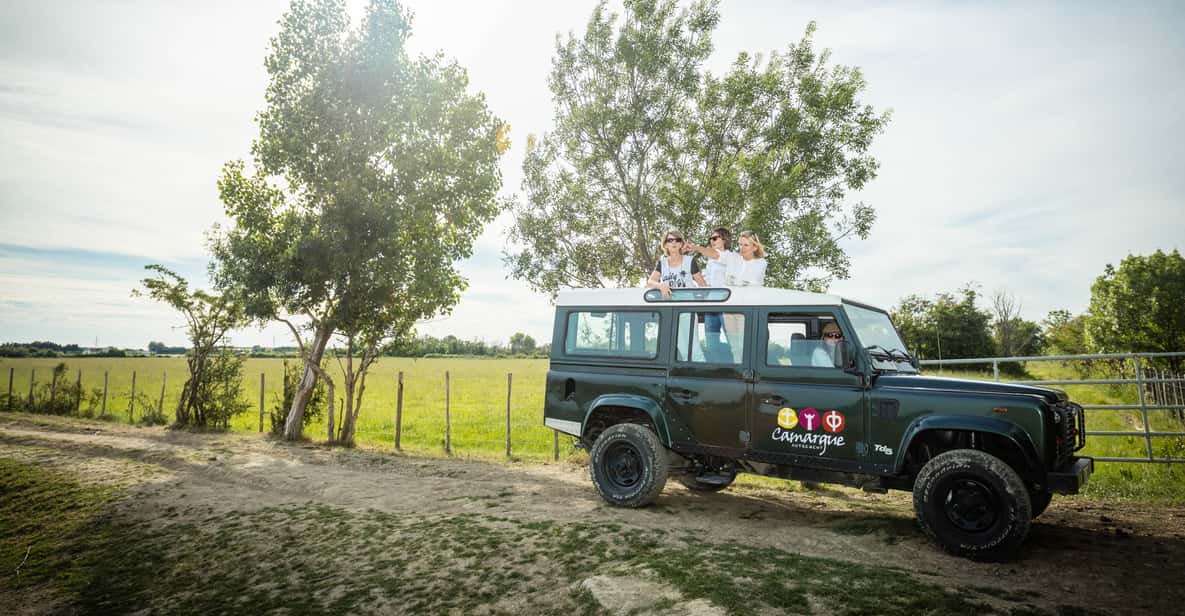 Camargue: Half-Day 4x4 Guided Safari Adventure