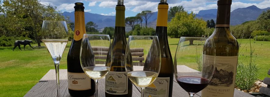 Cape Town: Private Wine Tour with Lunch