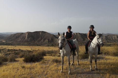 Almeria: paardrijtocht door de Tabernas-woestijn