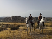 Almeria, Horse Riding Tour door de Tabernas Desert - Housity