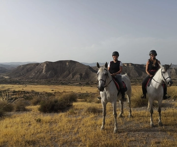 Almeria: Horse Riding Tour Through the Tabernas Desert