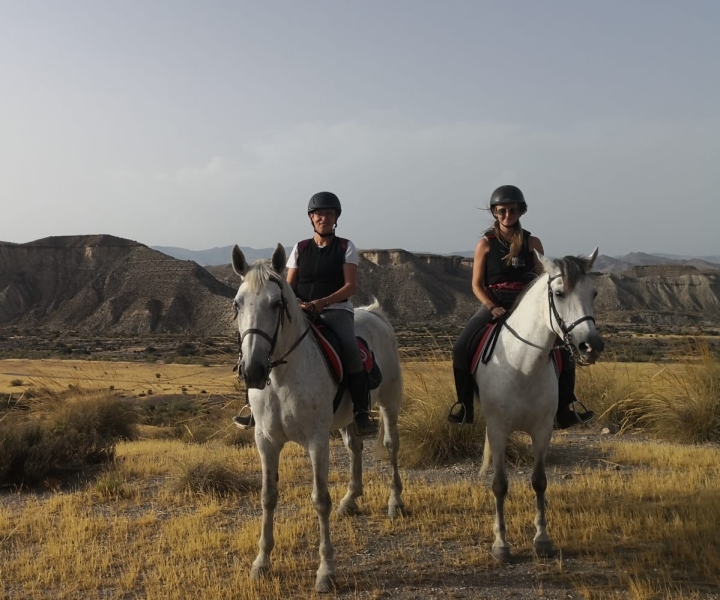 Almeria: Horse Riding Tour Through the Tabernas Desert