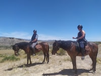 Almeria, Horse Riding Tour door de Tabernas Desert - Housity