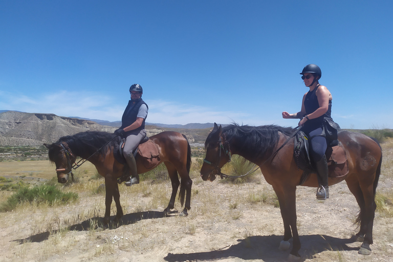 Almeria: Reittour durch die Wüste von Tabernas