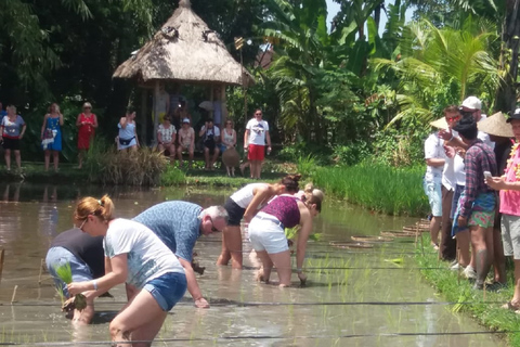 Bali: tour della vita del villaggio tradizionaleBaia di Plettenberg: giornata intera al centro di conservazione di Tenikwa