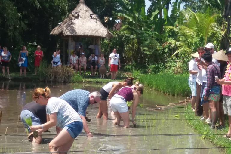 Bali: Tur i traditionell bygdPlettenberg Bay: Tenikwa Conservation Center heldag