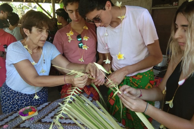 Bali: tour de la vida tradicional del puebloBahía de Plettenberg: día completo en el Centro de conservación de Tenikwa