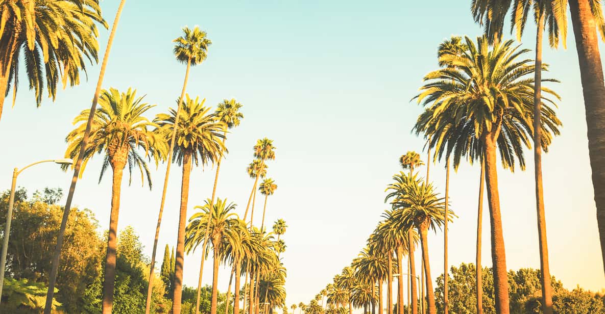 Los Angeles: Hollywood & Celebrity Homes Tour