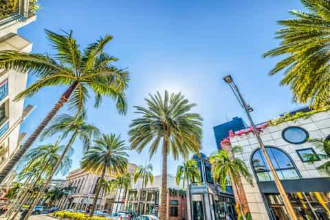 Los Angeles: Hollywood & Celebrity Homes Tour