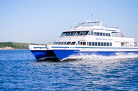 Boston, Whale Watching Catamaran Cruise - Housity