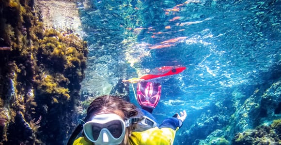 Cabo de Gata Natural Park: Guided Snorkeling Tour
