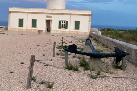Ibiza: billete de ferry de ida y vuelta a Formentera desde Figueretas.Ibiza: billete de ida y vuelta en ferry a Formentera desde Figueretas