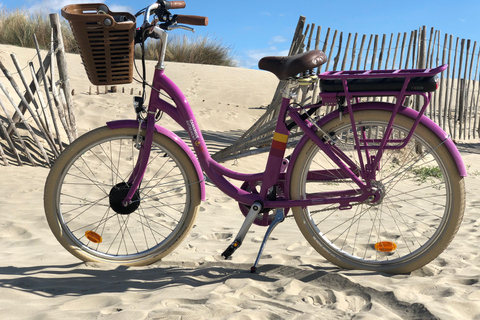 Camargue : visite guidée en vélo électrique