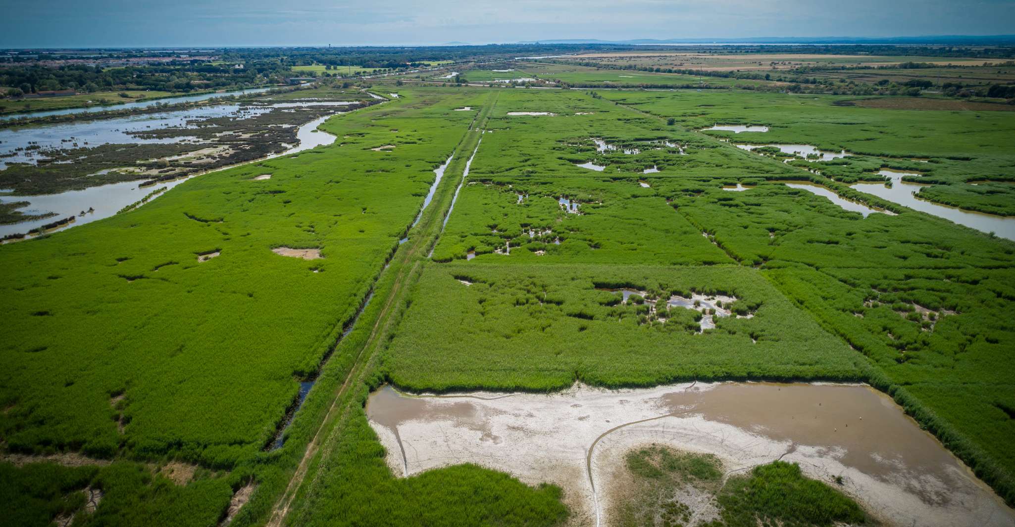 Camargue, Guided Electric Bike Tour - Housity