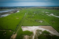 Camargue, Guided Electric Bike Tour - Housity